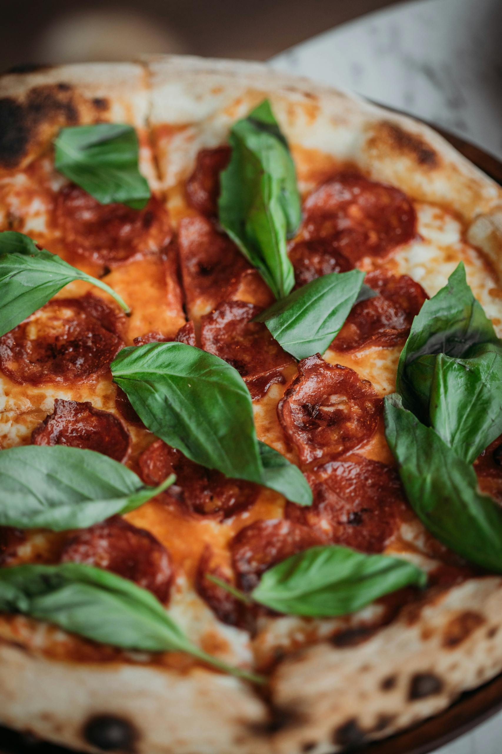 Une pizza sortie du four avec des feuilles de basilics frais et filet d'huile d'olive